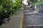 Thumbs/tn_Castel_Gandolfo.Gatto e ciclisti.jpg